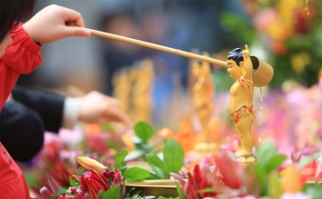Cảm xúc mùa Phật đản!
